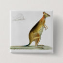 Search for kangaroo badges Marsupial