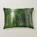 Search for birch cushions Nature