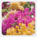 Search for cayman island stickers Tropical