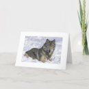 Search for wolf blank cards Wildlife