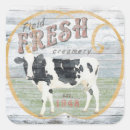 Search for dairy cattle stickers Farm
