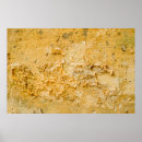 Search for sandstone posters Texture