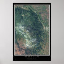 Search for national forest posters Ponderosa pine
