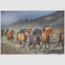 Search for horse tissue paper Running