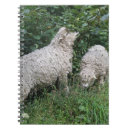 Search for cute sheep notebooks Woolly