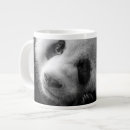 Search for giant bear mugs Animals in the wild