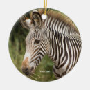 Search for zebra christmas tree decorations Cute