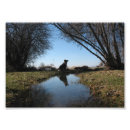 Search for border collie painting posters Farm
