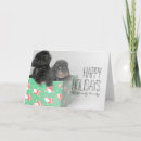 Search for cockapoo christmas cards Cute