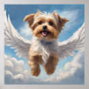 Search for breeder posters Pet