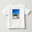 Search for divi tshirts Travel