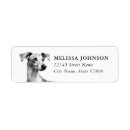 Search for italian greyhound return address labels Cute
