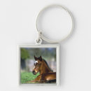 Search for thoroughbred horse key rings Animal