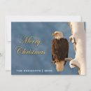 Search for bald eagle christmas cards Animal