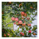 Search for home baking posters Recipe