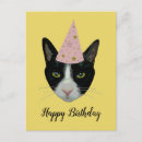 Search for tuxedo cat invitations Kitty