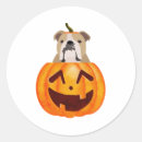 Search for bulldogs stickers Halloween
