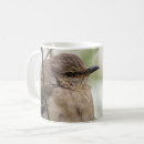 Search for mockingbird mugs Nature