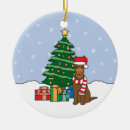 Search for the kelpies christmas tree decorations Pet