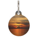 Search for ocean pet supplies Sky