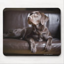 Search for sofa mousepads Horizontal