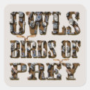 Search for bird of prey stickers Owl