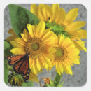 Search for butterfly sunflower stickers Yellow