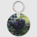 Search for silky key rings Silkie