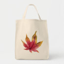 Search for autumn maple Nature
