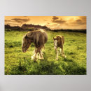 Search for two image posters Cloud