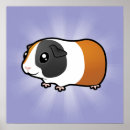 Search for cavy posters Pet