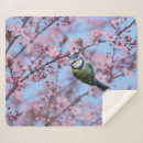 Search for japanese cherry blossom blankets Pink