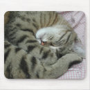 Search for curled mousepads Cute