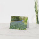 Search for hyacinth cards Thinking of you