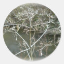 Search for with sympathy stickers Floral