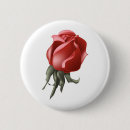 Search for budding badges Rose