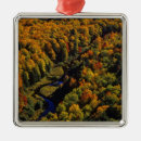 Search for michigan christmas tree decorations River