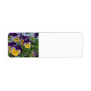 Search for pansies return address labels Purple