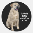 Search for labrador retriever dog stickers Labs
