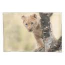 Search for sleeping pillowcases Kids