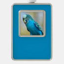 Search for budgie christmas tree decorations Feather