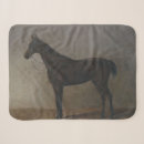 Search for gelding Pony