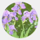 Search for iris flower stickers Pretty