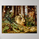 Search for hoffmann Rabbit