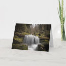 Search for schwarzwald cards Black forest