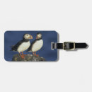 Search for beaks accessories Wildlife
