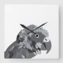 Search for african grey parrots art Pet