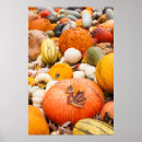 Search for squash posters Fall