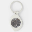 Search for mule key rings Farm animals