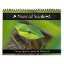 Search for snakes office supplies Venomous